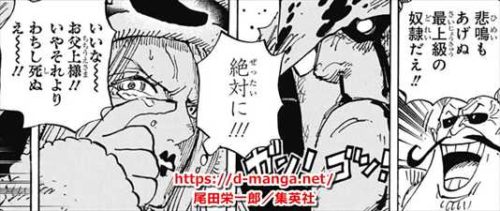 ワンピース考察 ジュエリー ボニーの 正体 がくまの娘と発覚 悪魔の実は ソルベ王国の王女 能力強さまとめ ドル漫