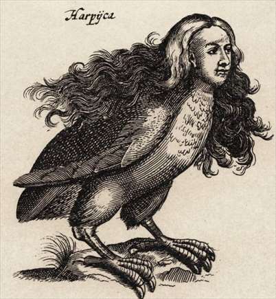 ワンピース考察 ラフィットの悪魔の実は フクロウ と判明か 能力強さまとめ 黒ひげ海賊団 トリトリの実 ドル漫