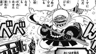 One Piece 第6回人気投票ポスターが豪華すぎｗｗｗ 画像あり ドル漫